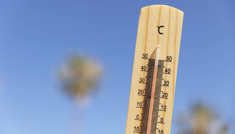 Lansko leto četrto najtoplejše v Sloveniji v 75 letih