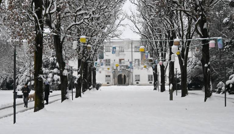 Leto 2025 prineslo nove rekorde, gostje se vračajo v Pomurje