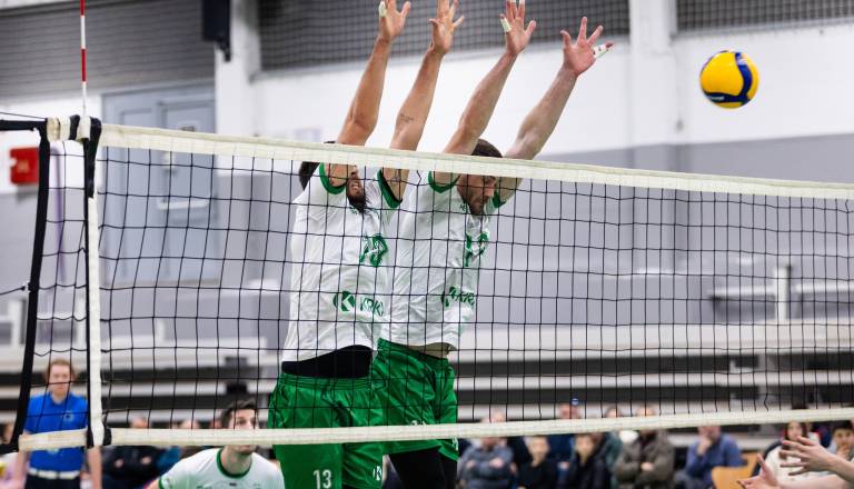 Novomeška Krka brez finala slovenskega pokala