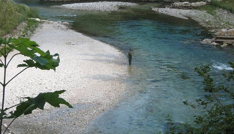 Tragična najdba v Savinji: V reki pri Celju odkrili truplo mladega moškega