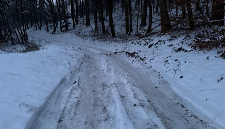 Pesniška občina pojasnjuje: Ceste so lahko delovale, kot da niso bile obdelane, čeprav so bile