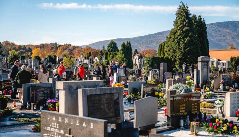 Od pokopališča Dobrava do Europarka, v Mariboru več prostih delovnih mest