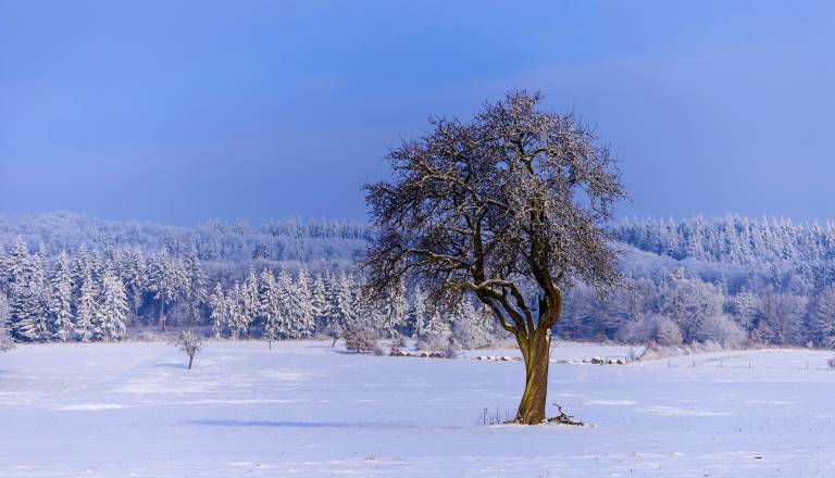 Dan močnih čustev in pomembnih uvidov