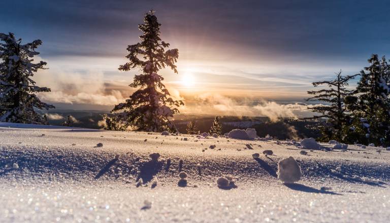 Zvezde napovedujejo prelomnice