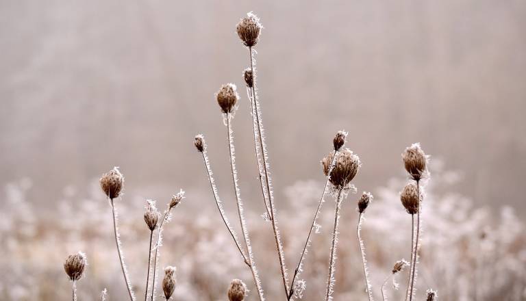 Horoskop razkriva, kje vas čaka preboj