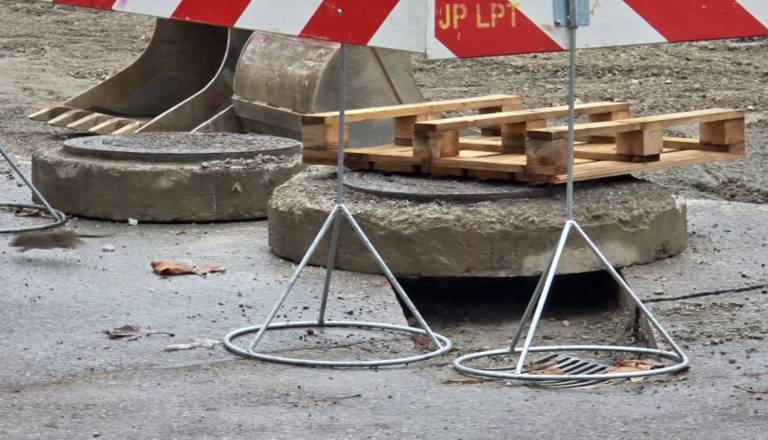 FOTO: Podgane skačejo iz smeti in kanalizacije ob obnovljeni Linhartovi cesti, Janković še čaka z ukrepi