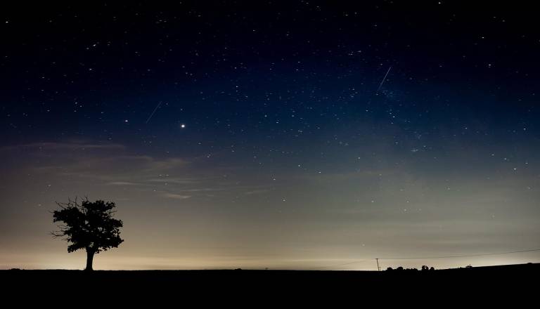 Od mrkov do meteorskih rojev: Ti nebesni dogodki bodo letos vidni po vsej Sloveniji
