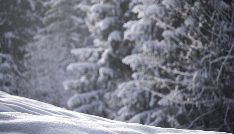 Po dežju prihaja ohladitev, v prihodnjih dneh pa tudi sneženje