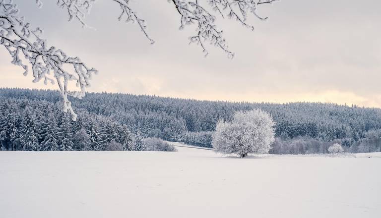 Pred nami mrzli dnevi: Zima se krepi, padavin pa bo manj, kot je kazalo