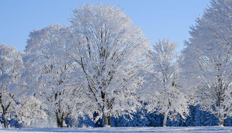 Zima prihaja v polni meri: Konec tedna sneg, januar prinaša mraz