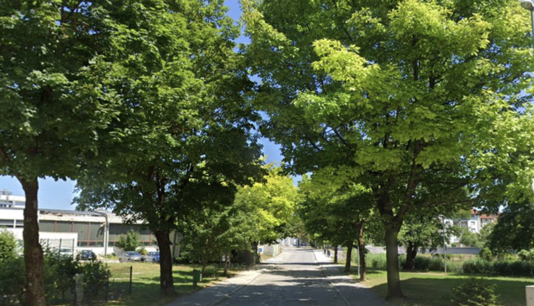 Skoraj milijon evrov za prenovo ene ključnih ulic v središču Kočevja