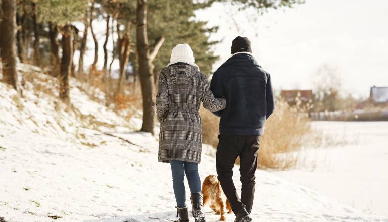 Ovni k novim ciljem, biki k priznanju
