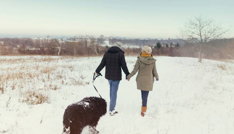 Zvezde spodbujajo napredek