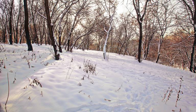 Oblačno vreme, konec tedna več padavin