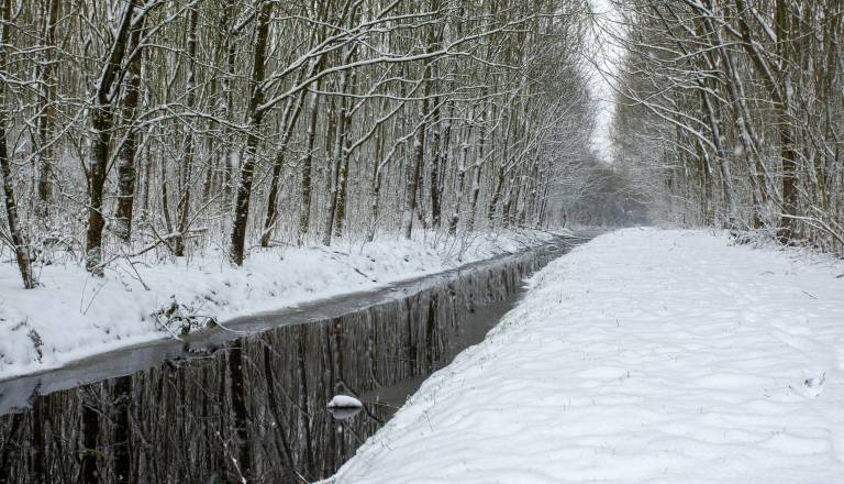 Padavine in možnost poledice