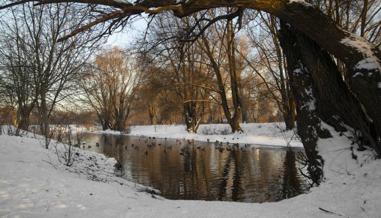 Spremenljivo vreme z meglo in padavinami v prihodnjih dneh