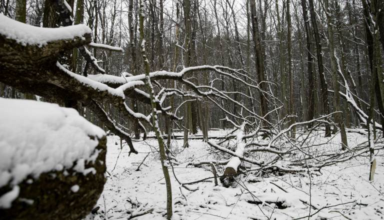 Oblačno vreme, v gorah sneg, po nižinah dež