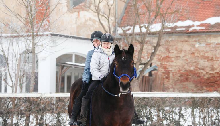 Rakičan po stečaju zavoda, Konjeniško društvo Kopito z jasno vizijo