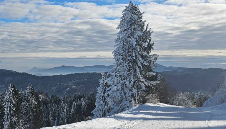 Obisk tega kotička Gorenjske je zimska pravljica, na katerem lahko smučate