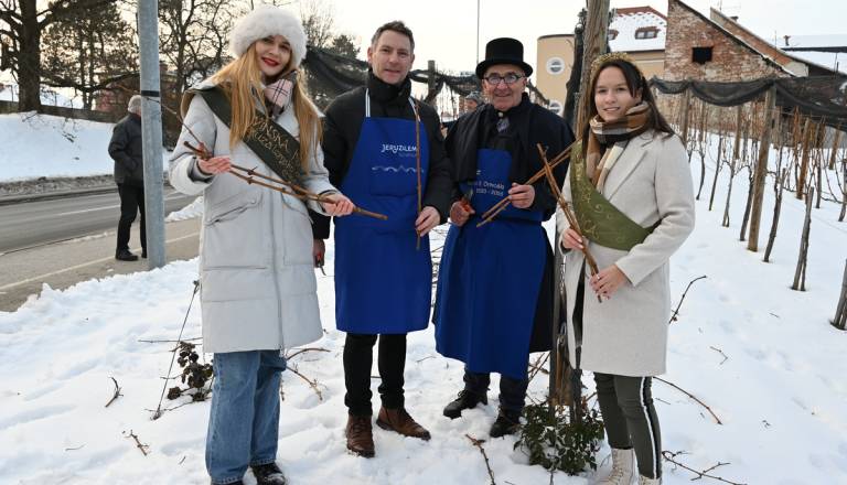 Vincekov rez v Ormožu privabil ljubitelje vinogradniške dediščine