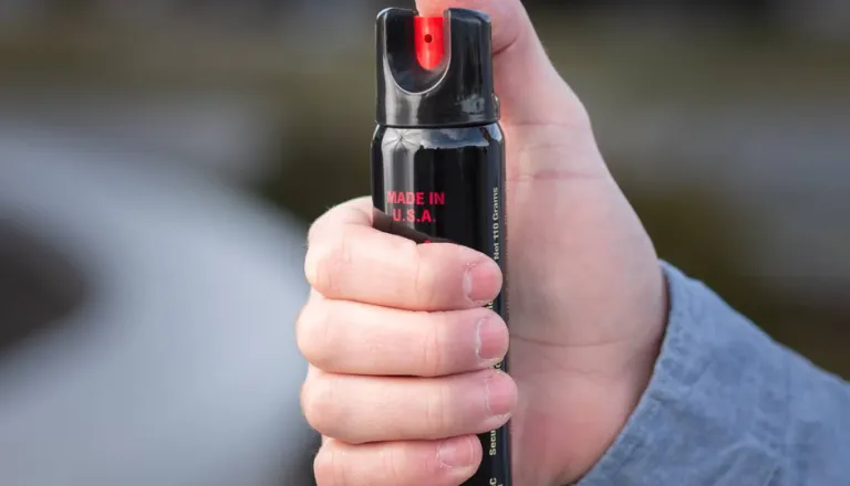 Za Bežigradom: Oškodovanec poškropljen s solzivcem med snemanjem vloma, policija išče dva roparja