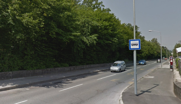 Odziv občine po padcu drevesa na avto. O odškodnini bo odločala zavarovalnica