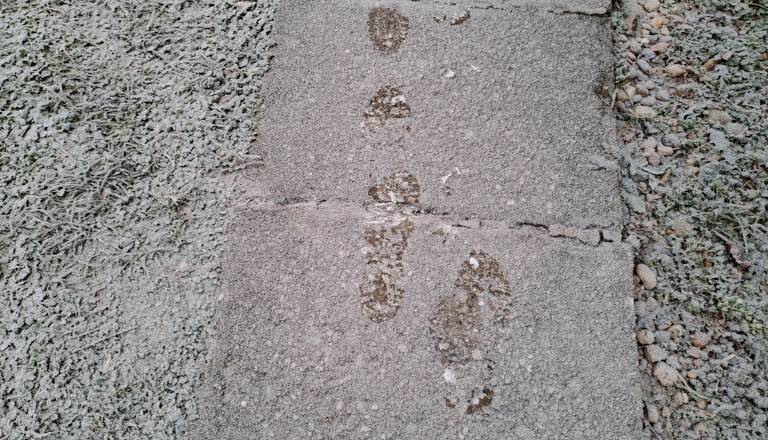 Megla po nižinah, v sredini tedna nove padavine