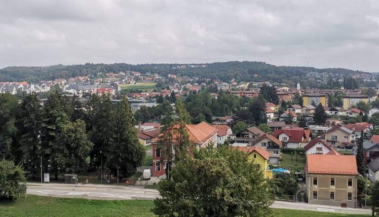 Kdo ima prednost? Dovolj politične korektnosti pri neprofitnih občinskih stanovanjih, pravi svetnik