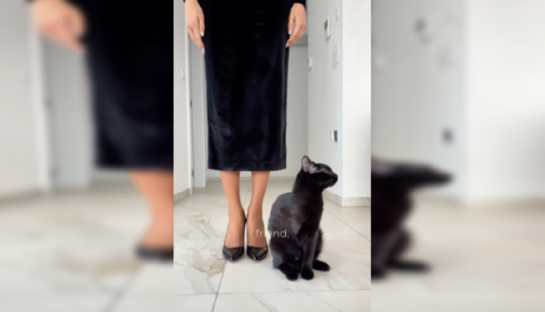 Tina Gaber Golob delila video svoje črne muce