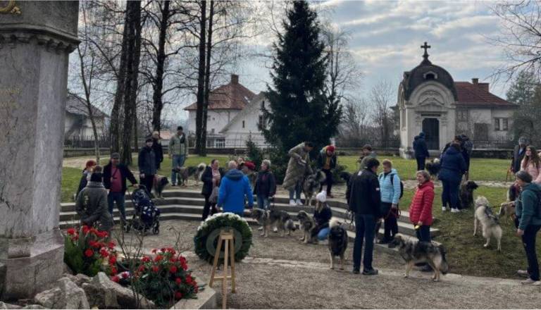 Foto: Kraški ovčar