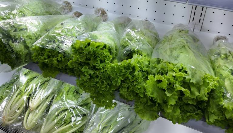 Po najdbi žabe v solati iz Lidla, so v isti trgovini v solati zaznali tudi ...