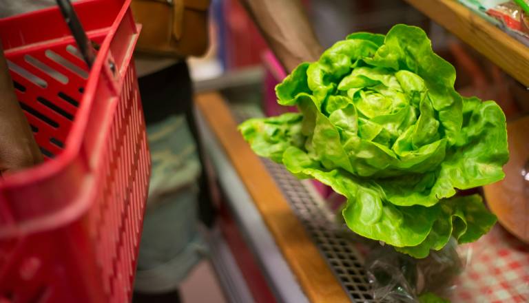 Žaba ni bila edina: V solati iz trgovine zaznali še gosenico