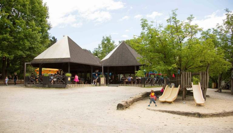 Velika prenova ZOO Ljubljana, razpisan natečaj za vhod in živo ograjo