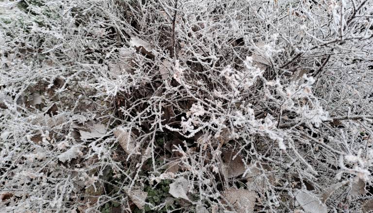 Plohe še vztrajajo, nato sprememba