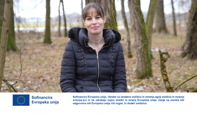 VIDEO: Do 10 milijonov evrov za gozdove: Kako do denarja za sodobno mehanizacijo?