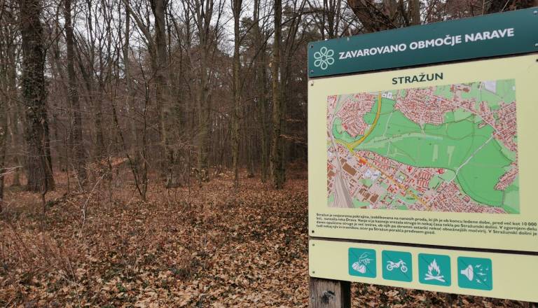 Mariborčani zaskrbljeni: V Stražunskem gozdu razpada hiša, otroci pa se igrajo med azbestnimi ploščami