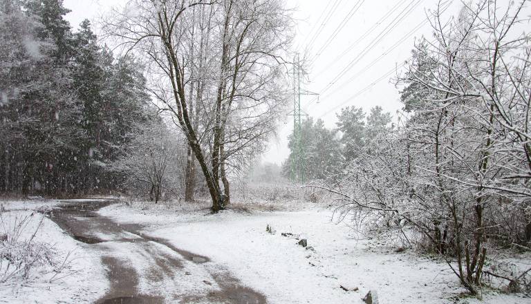 Sneženje ponoči, nato burja in ...