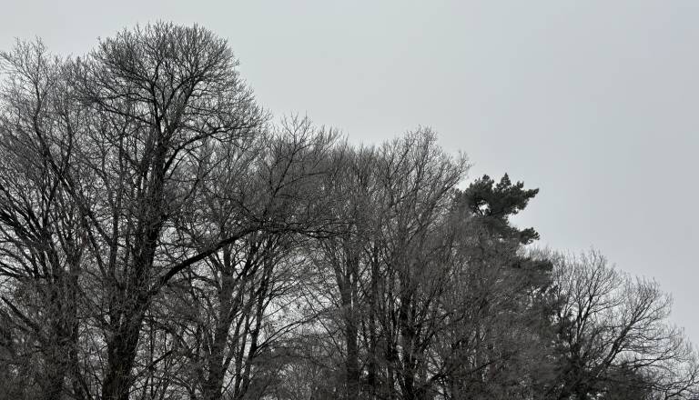 Pripravite se na sneg! Takšna je napoved