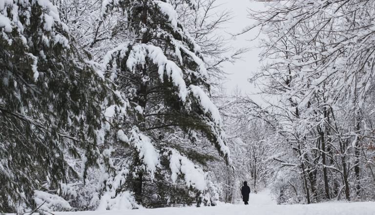Snežna noč pred nami: Kje bo snežilo in kdaj se bo zjasnilo