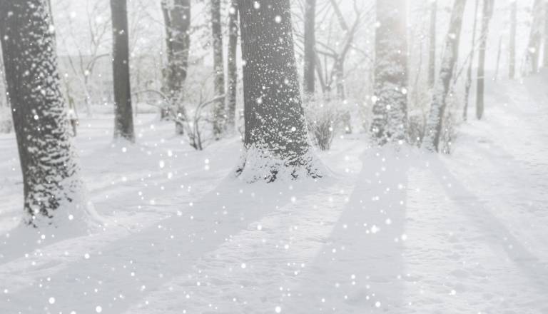 Sneženje ponoči, nato burja in ...