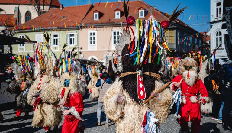Koliko bo stalo pustno veselje na Ptuju?