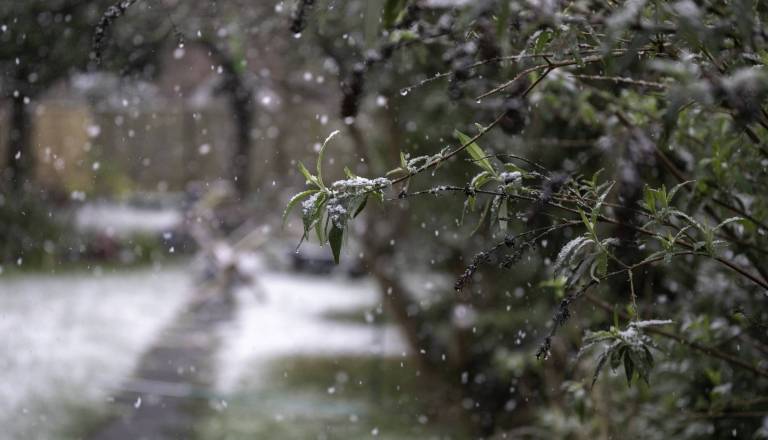 Preverite, kakšno vreme za ta konec tedna napovedujejo vremenoslovci 