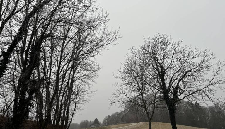 Primorska uživa v soncu, preostanek države pa v objemu nizke oblačnosti