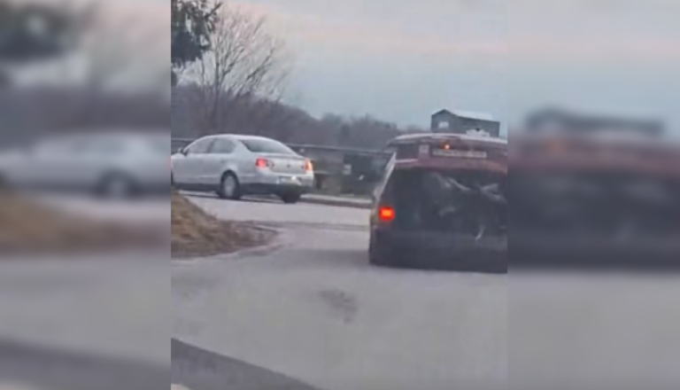 VIDEO: Širi se posnetek voznika, ki je v prtljažnik spravil skoraj celo drvarnico