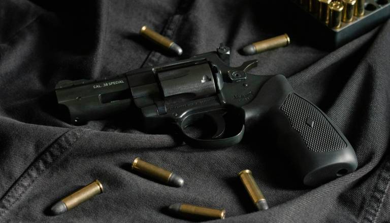 Danes se izteče rok za predajo nezakonitega orožja brez posledic, koliko oseb je na Dolenjskem to že storilo?