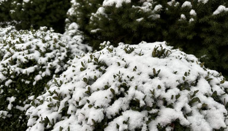 V začetku tedna temperature krepko pod lediščem