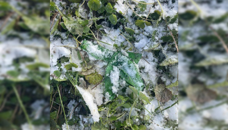 Pozor! Na igrišču v Pomurju, ki je priljubljeno za sankanje, raztreseno steklo