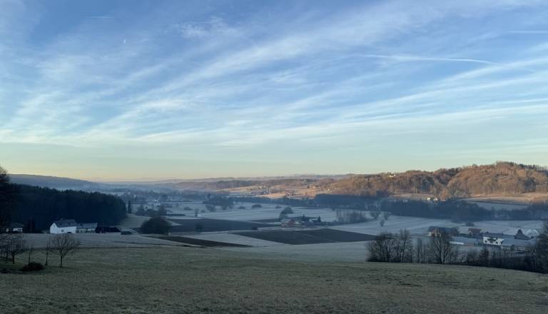 Nevarna cesta na Goričkem: Povožene domače živali stalnica, strah pred hujšo nesrečo vse večji