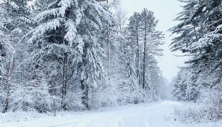 Sneg se oprijema cest, opozorila Arsa za ustrezno opremo