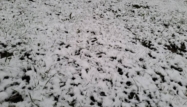 Sneženje zajelo tudi Pomurje, v prihodnjih dneh še ostrejši mraz